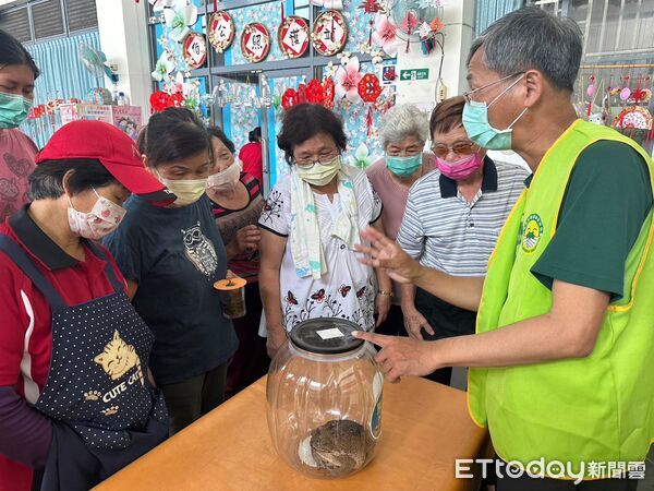 ▲▼社區上課、實地移除大量海蟾蜍。(圖/林業保育署南投分署提供)