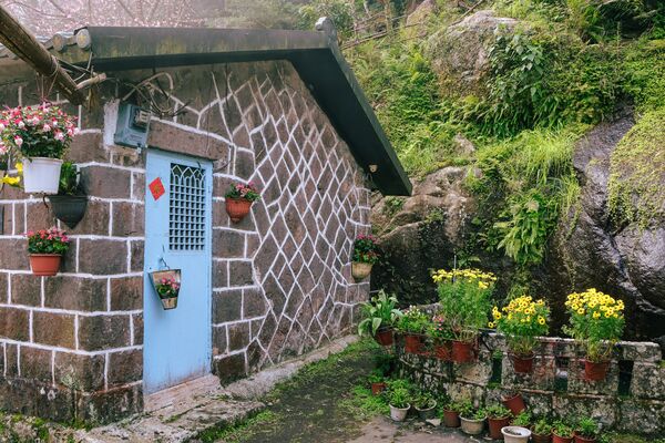 ▲三生步道櫻花,天元宮,楓樹湖步道。(圖/新北市觀旅局提供)