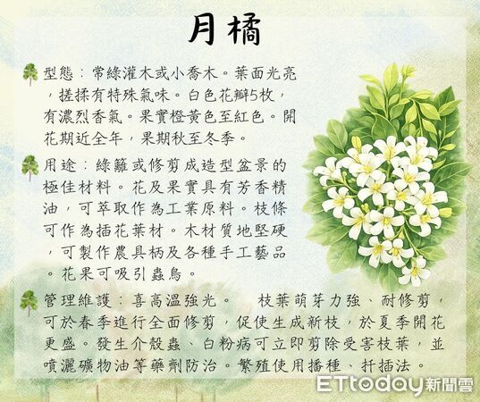 ▲▼花蓮分署3月份贈苗活動計24場一覧表。(圖/花蓮分署提供,下同)