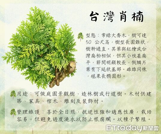 ▲▼花蓮分署3月份贈苗活動計24場一覧表。(圖/花蓮分署提供,下同)