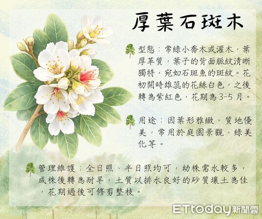 ▲▼花蓮分署3月份贈苗活動計24場一覧表。(圖/花蓮分署提供,下同)