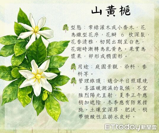 ▲▼花蓮分署3月份贈苗活動計24場一覧表。(圖/花蓮分署提供,下同)