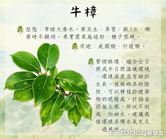 ▲▼花蓮分署3月份贈苗活動計24場一覧表。(圖/花蓮分署提供,下同)