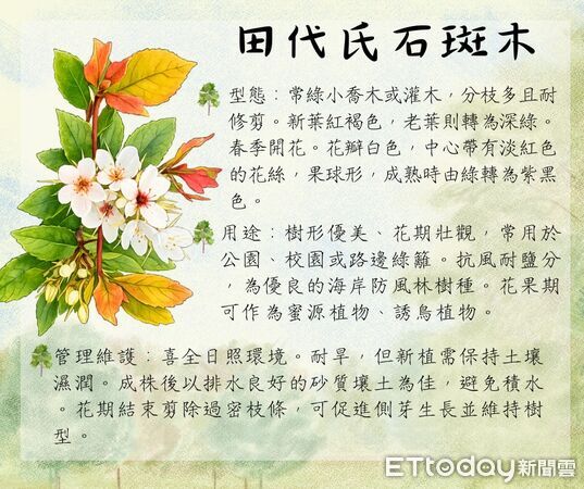 ▲▼花蓮分署3月份贈苗活動計24場一覧表。(圖/花蓮分署提供,下同)