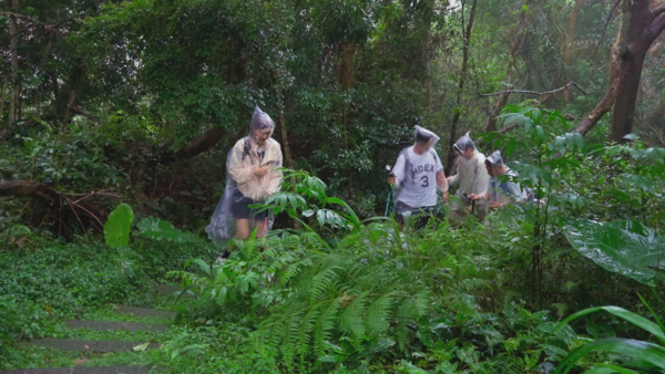 ▲▼ 彭小刀(左起)、李濬榮、南優賢、肌肉山山、金荷娜挑戰「出關古道」。(圖/客家電視台提供)