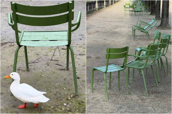 ▲Dior 直播預告。(圖/品牌提供、翻攝IG)