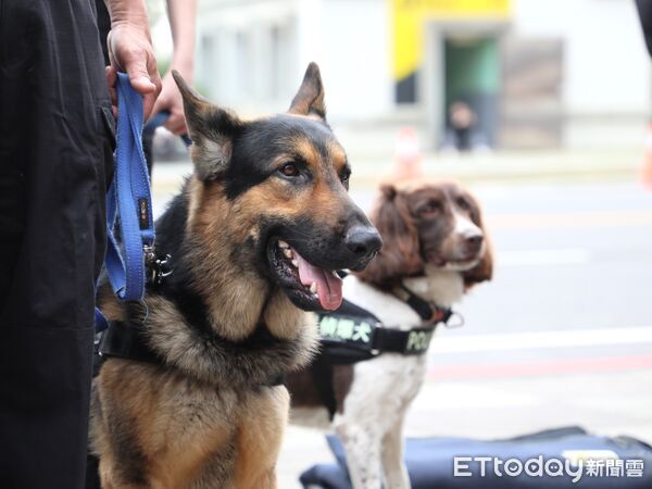 ▲▼ 防爆機器人、偵爆犬到位 2026 台灣燈會最高維安規格啟動 。(圖/嘉義縣政府提供)