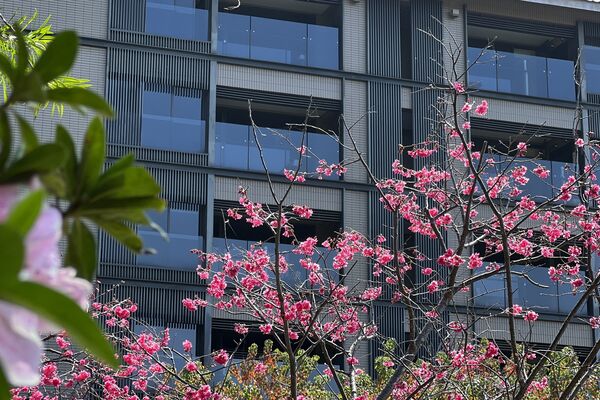 ▲北投麗禧溫泉酒店。(圖/業者提供)