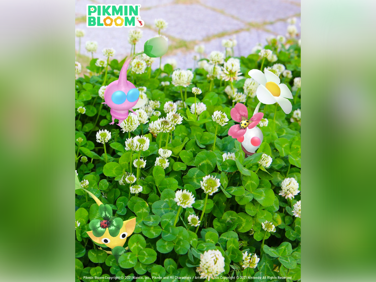 ▲▼皮克敏。(圖/翻攝自Threads/Pikmin Bloom 中文官方帳號)