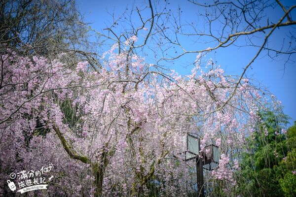 ▲▼金澤景點一日遊。(圖/部落客滿分的旅遊札記授權提供)