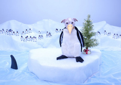 動物聖誕卡好可愛，企鵝怎麼怪怪的？