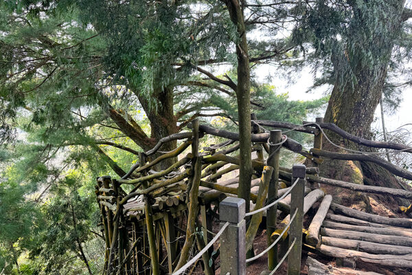 ▲▼大坑5-1號登山步道。(圖/飛天璇的口袋授權提供)