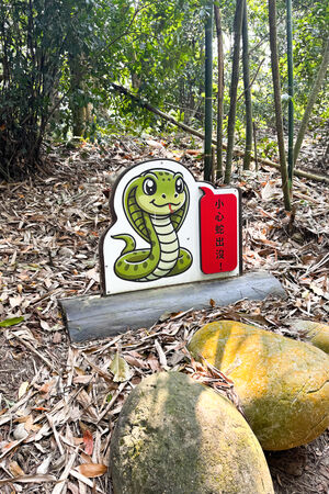 ▲▼大坑5-1號登山步道。(圖/飛天璇的口袋授權提供)