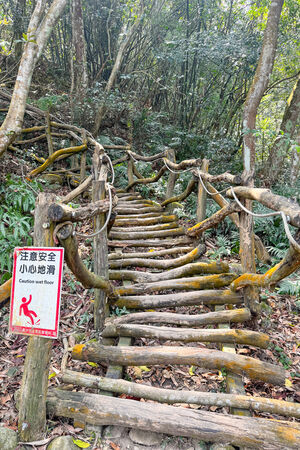 ▲▼大坑5-1號登山步道。(圖/飛天璇的口袋授權提供)