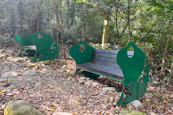 ▲▼大坑5-1號登山步道。(圖/飛天璇的口袋授權提供)