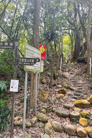 ▲▼大坑5-1號登山步道。(圖/飛天璇的口袋授權提供)