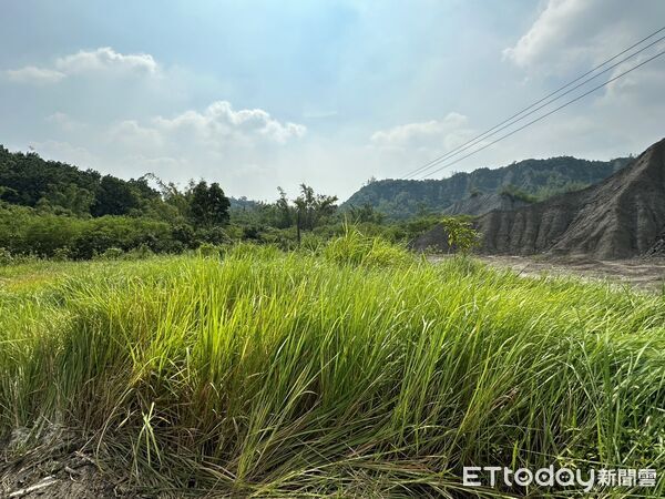 ▲台南市大內區國有林地成功營造草鴞棲地,監測到鳴叫聲。(記者林東良翻攝,下同)