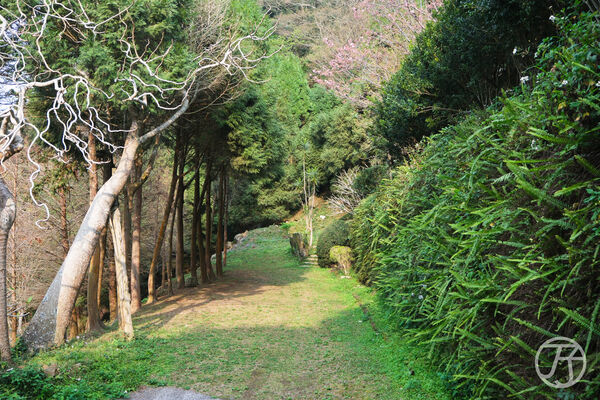▲▼草山境。(圖/JJ.Hsu授權提供)