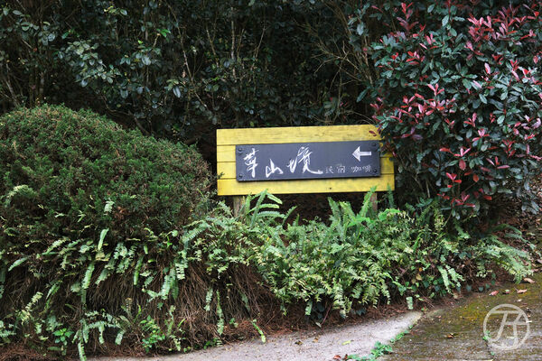 ▲▼草山境。(圖/JJ.Hsu授權提供)