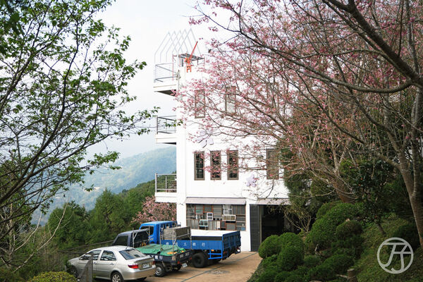 ▲▼草山境。(圖/JJ.Hsu授權提供)
