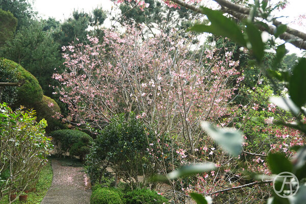 ▲▼草山境。(圖/JJ.Hsu授權提供)