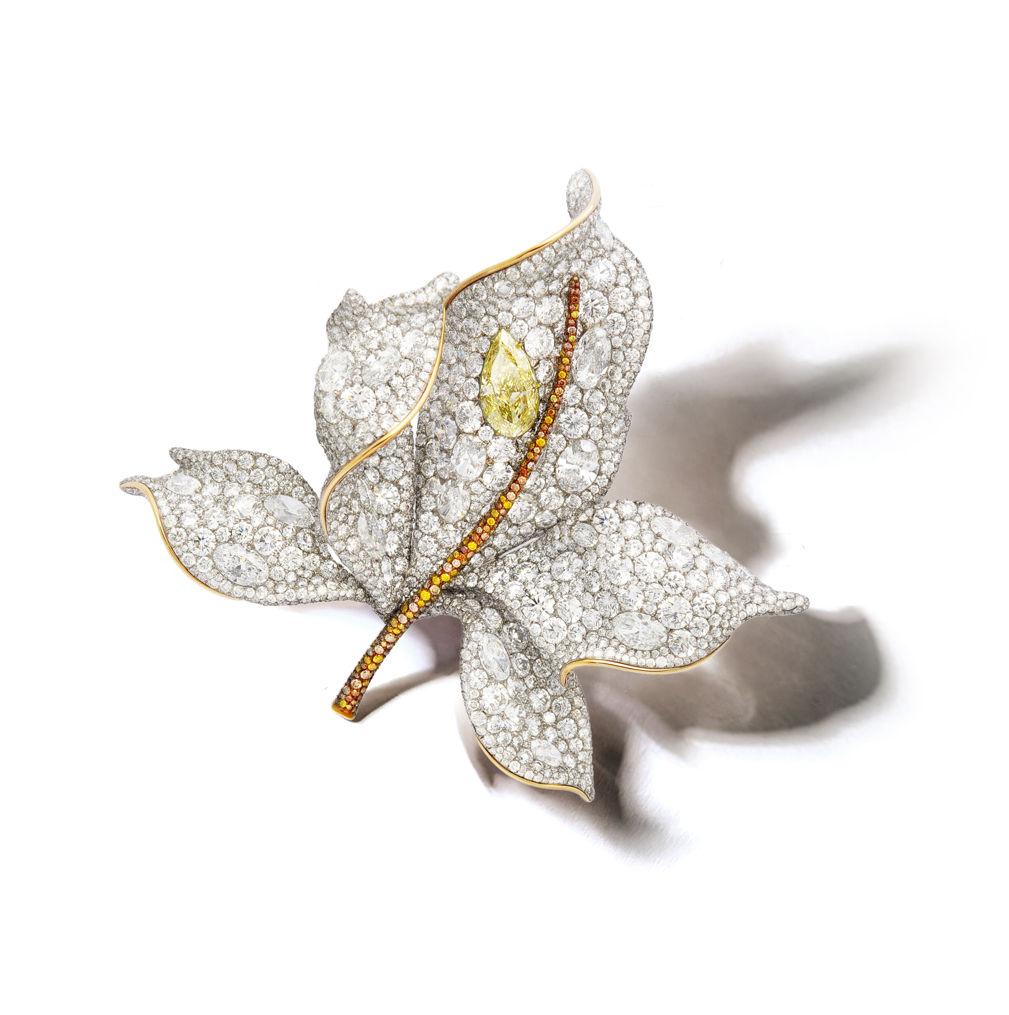 ▲▼Cindy Chao,BVLGARI 。(圖/公關照)