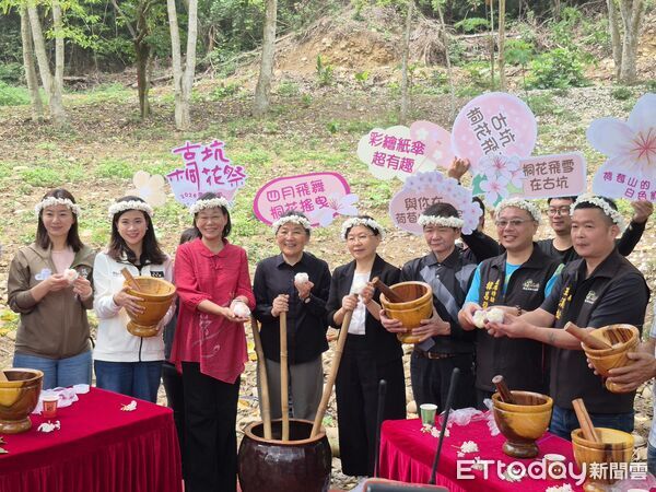 ▲荷苞山桐花盛開,白花隨風飄落形成浪漫畫面。(圖/記者游瓊華翻攝)