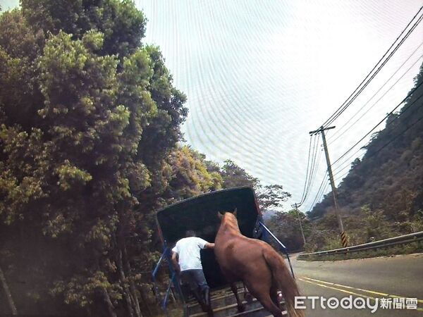 ▲▼ 南庄街頭驚見騎馬上路 警方即刻查處依法開罰 。(圖/記者楊永盛翻攝)