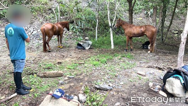▲▼ 南庄街頭驚見騎馬上路 警方即刻查處依法開罰 。(圖/記者楊永盛翻攝)