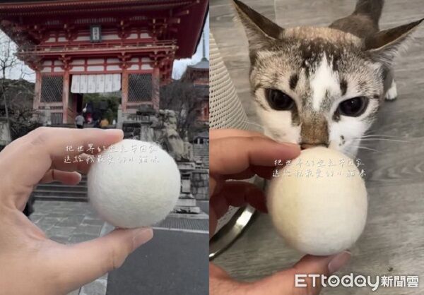 ▲。(圖/翻攝自Threads@3cat.catcat請勿隨意翻拍,以免侵權)