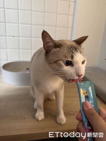 ▲。(圖/翻攝自Threads@3cat.catcat請勿隨意翻拍,以免侵權)