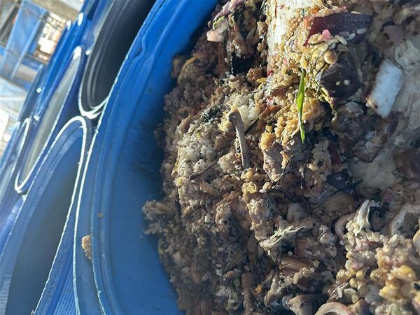 ▲彰化查獲豬場違法餵食廚餘,業者最重將面臨400萬元罰鍰。(圖/彰化縣政府)