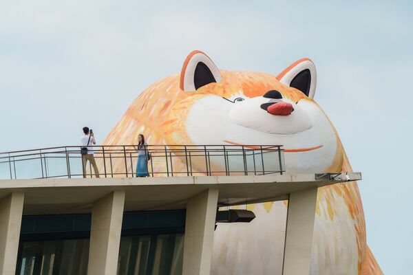 ▲▼14公尺「巨型博美犬」現身屏東海邊。(圖/翻攝自屏東縣政府傳播暨國際事務處臉書專頁)
