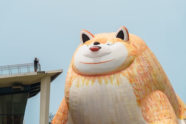 ▲▼14公尺「巨型博美犬」現身屏東海邊。(圖/翻攝自屏東縣政府傳播暨國際事務處臉書專頁)