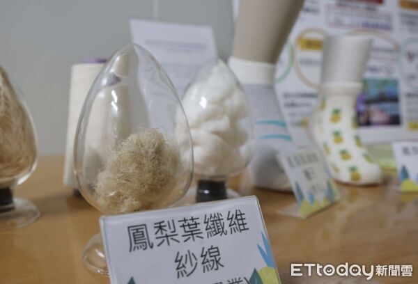 ▲雲林縣長張麗善率隊現勘鳳梨資材循環利用場域。(圖/記者游瓊華翻攝)