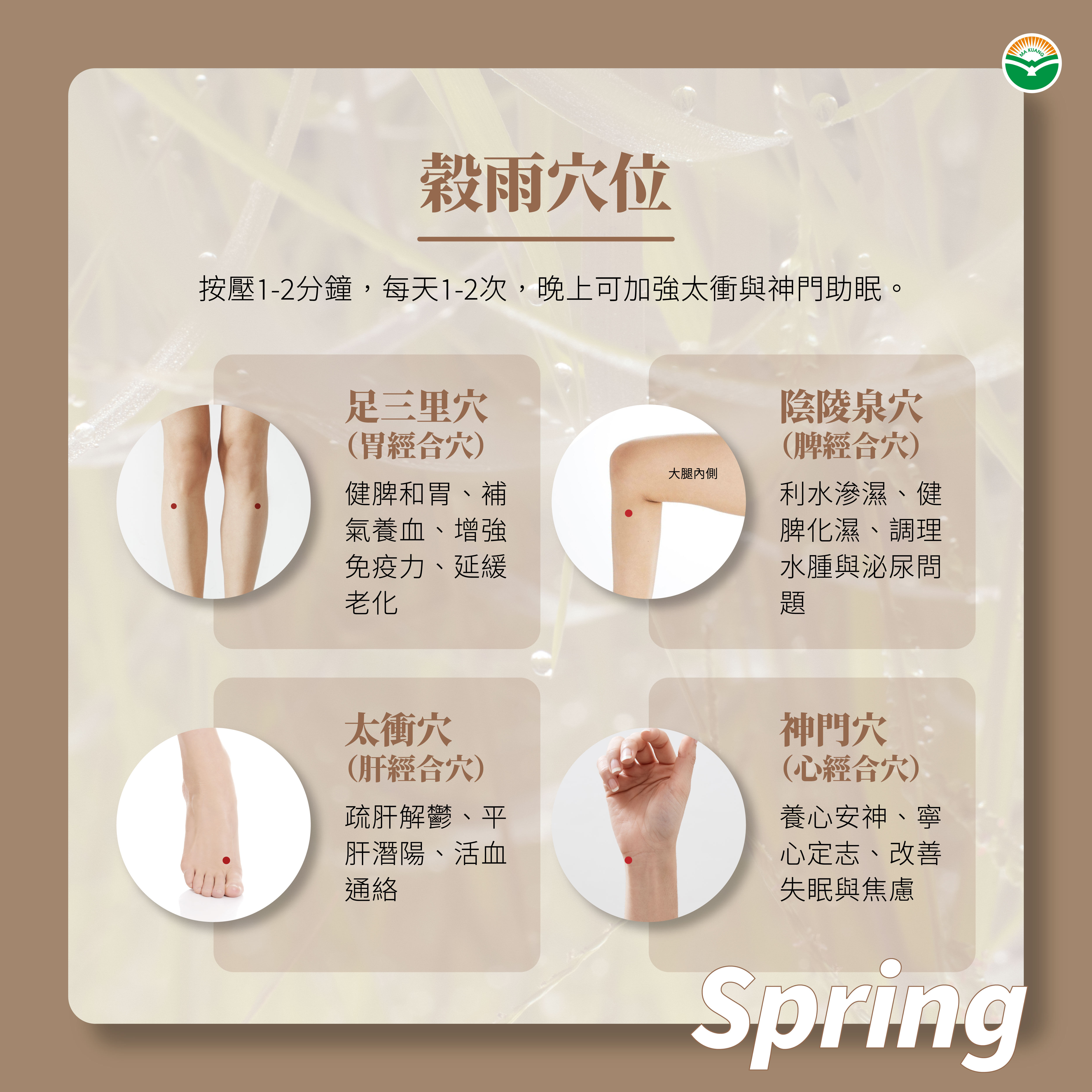 中醫師分享穀雨穴道按摩。(圖/馬光中醫提供)