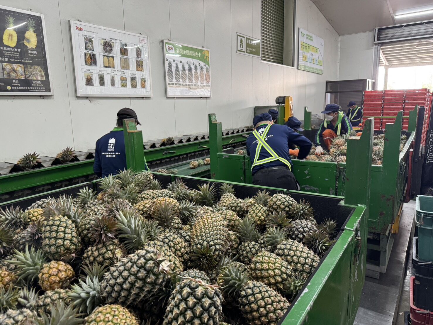 ▲▼北農,鳳梨,日本。(圖/北農提供)