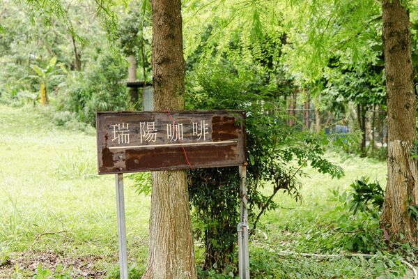 ▲▼瑞陽咖啡。(圖/黑皮的旅遊筆記授權提供)