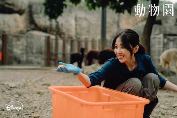 ▲▼台劇《動物園》。(圖/翻攝自Facebook/Disney+)