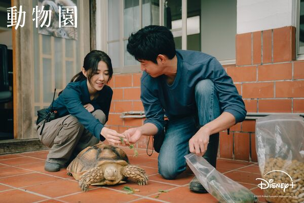 ▲▼台劇《動物園》。(圖/翻攝自Facebook/Disney+)