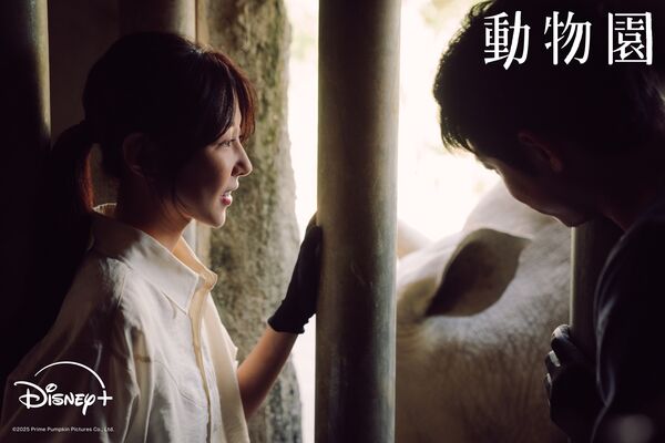 ▲▼台劇《動物園》。(圖/翻攝自Facebook/Disney+)