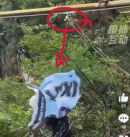 ▲▼陸少女玩高空滑索慘墜谷身亡。(圖/翻攝自微博)