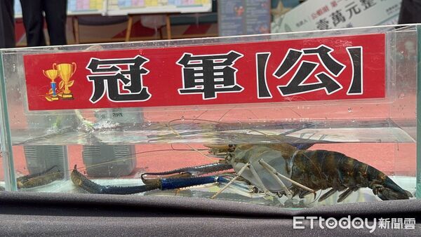 ▲蝦農涂健穎拿下三料完軍。(圖/潮州鎮公所提供)