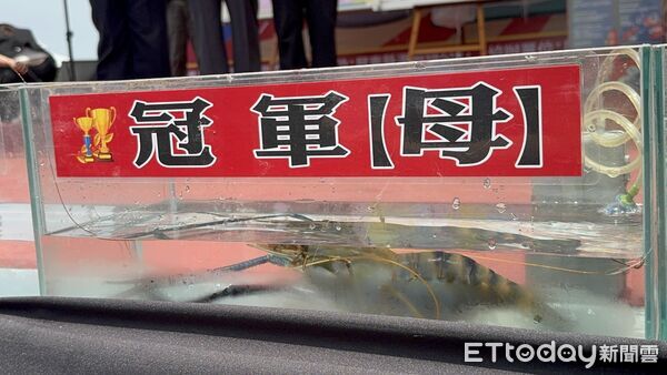 ▲蝦農涂健穎拿下三料完軍。(圖/潮州鎮公所提供)