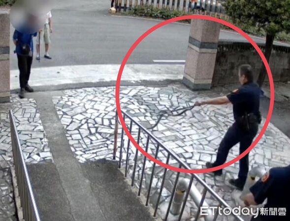 ▲黑眉錦蛇遭八哥鳥群起圍攻,走投無路竄入警所尋求庇護。(圖/吉安警分局提供,下同)