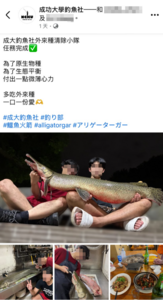 道歉也沒用！成大生吃掉228公園吉祥物「鱷雀鱔」　北市府要開罰了