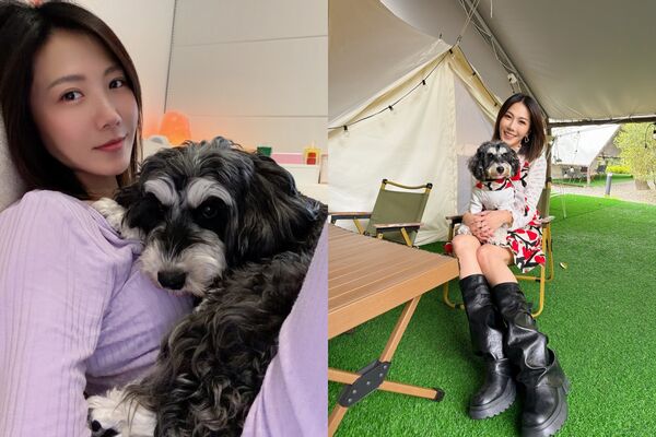 ▲▼大牙領養愛犬打疫苗「驚見雙晶片」 揭繁殖黑幕:把生命當商品。(圖/翻攝自Instagram/bigtooth)