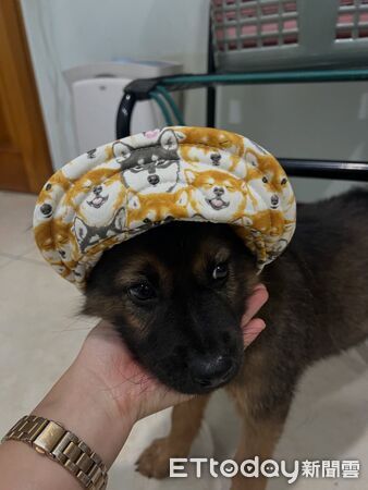 ▲。(圖/宏麒木地板提供,請勿隨意翻拍,以免侵權)