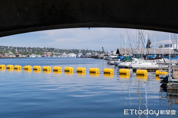 ▲西雅圖,西雅圖市景,太空針塔,華盛頓大學,巴拉德水閘 Ballard (Hiram M. Chittenden) Locks,亞馬遜總部。(圖/記者彭懷玉攝)