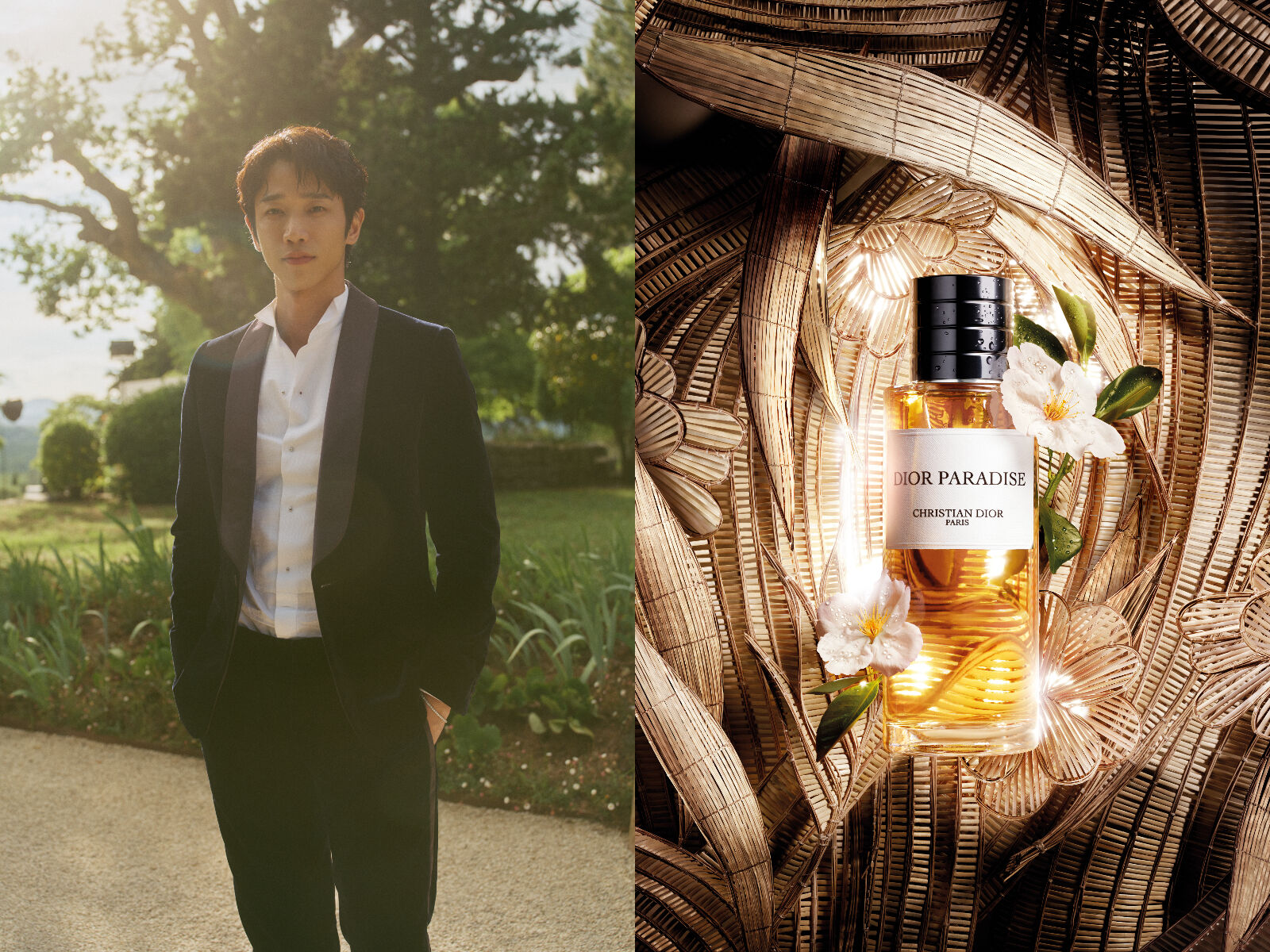 ▲▼DIOR。(圖/品牌提供)